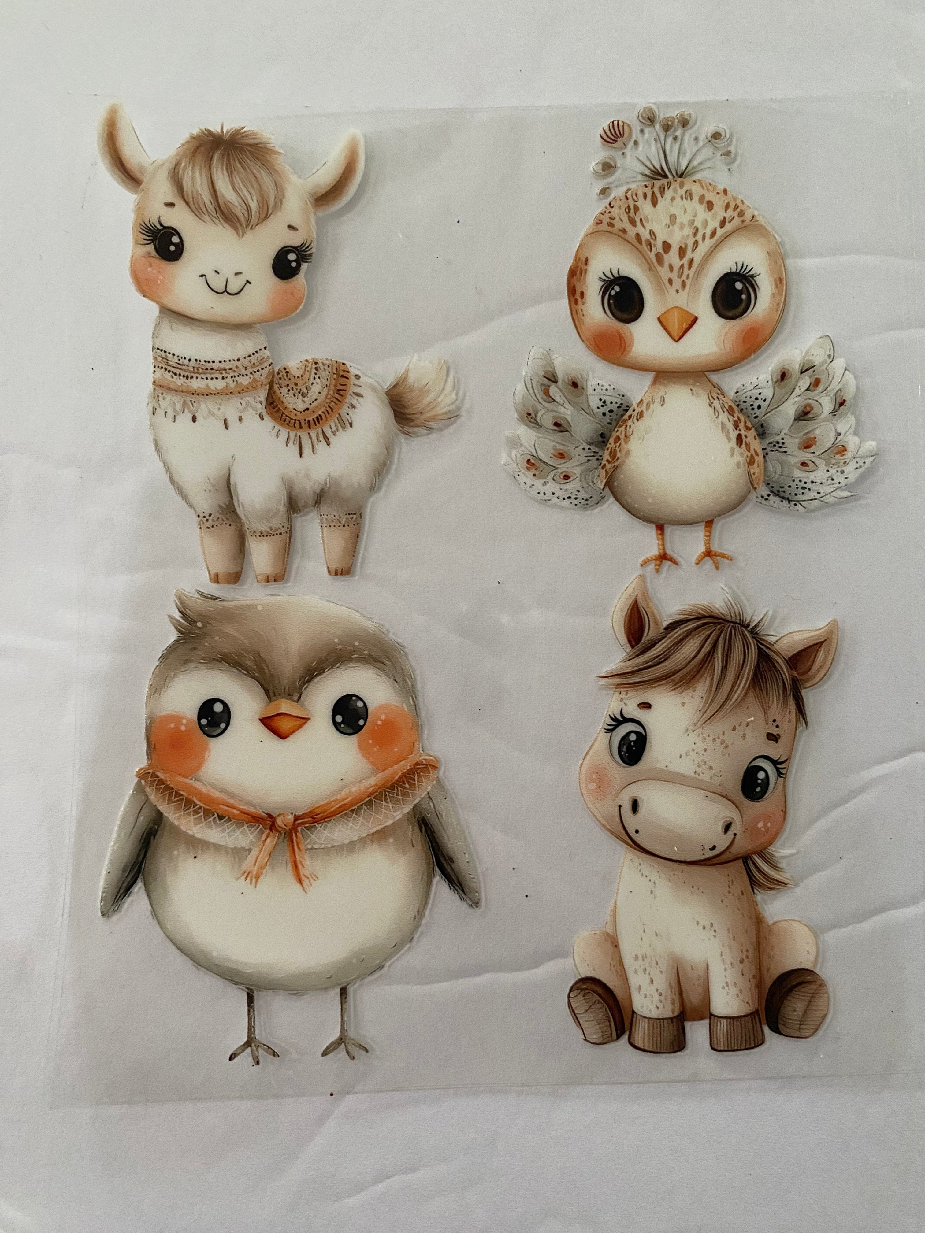 Baby Animals