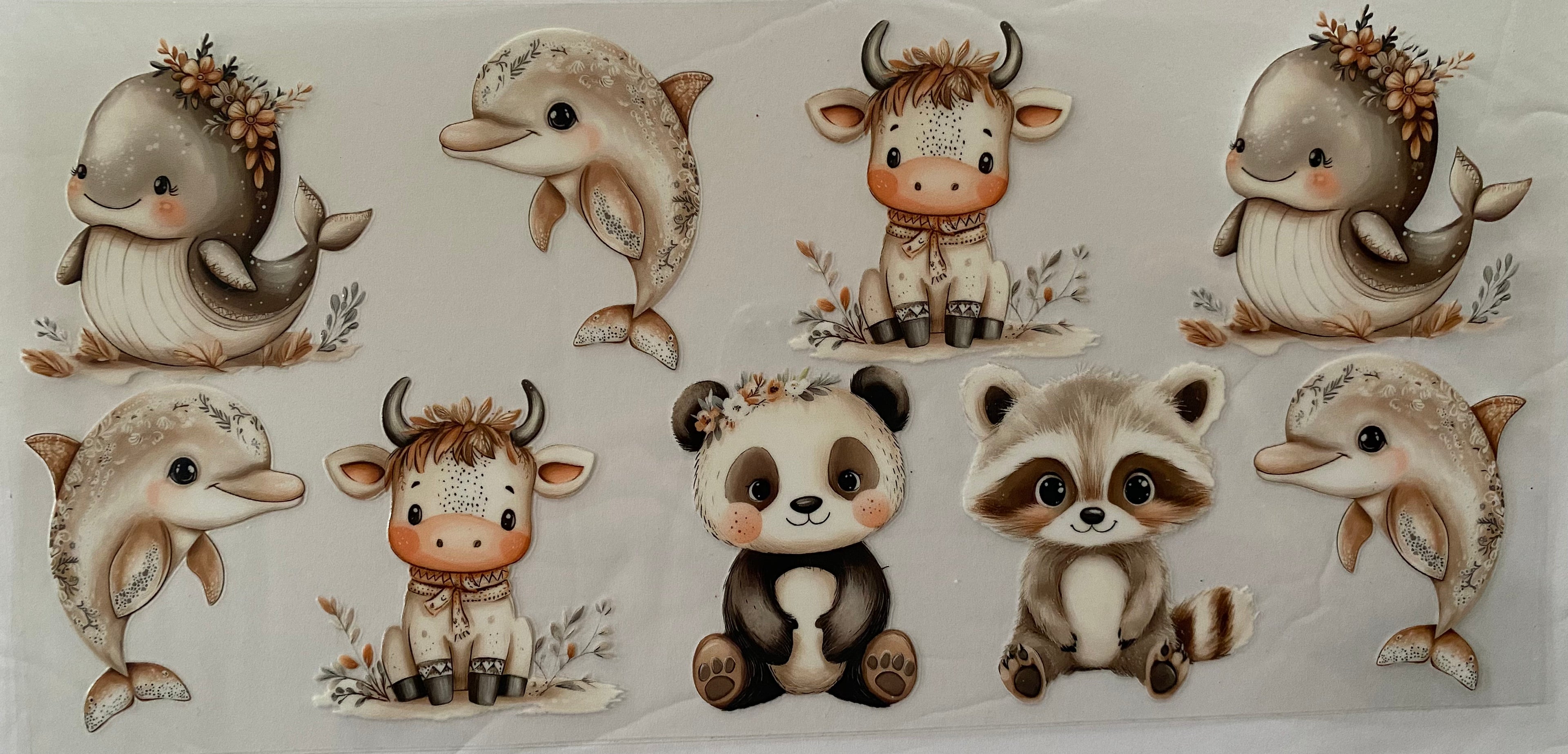 Baby Animals